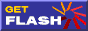 Adobe Flash Player