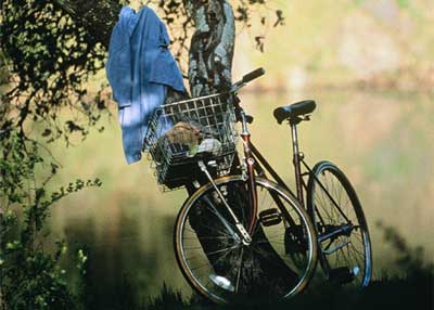 Photo of bike leaning against tree while rider is swimming in creek