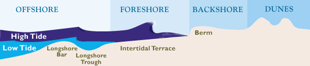 Chesapeake Bay Beach Structure Diagram