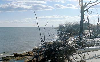 New Point Comfort Chesapeake Bay Erosion