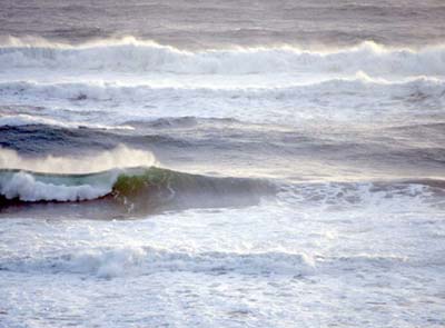 Chesapeake Bay Beach Surf